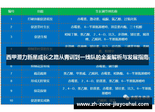 西甲潜力新星成长之路从青训到一线队的全面解析与发展指南